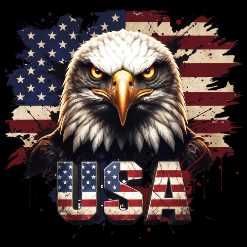 2 Pcs 250 Anniversary USA Merchandise, 250th Anniversary USA Car Stickers - Patriotic American Flag Eagle Decals for Vehicles, Trucks and Laptops, Waterproof 5.9 Inch